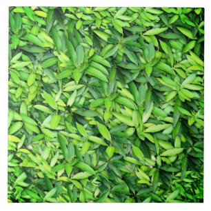 Green Leaf Pattern – Botanical Nature Art Ceramic Tile