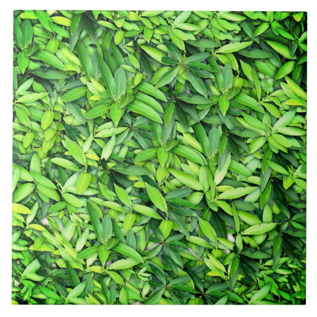 Green Leaf Pattern – Botanical Nature Art Ceramic Tile (Front)