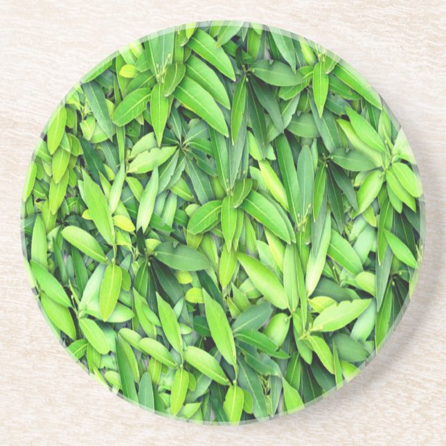 Green Leaf Pattern – Botanical Nature Art Coaster (Front)
