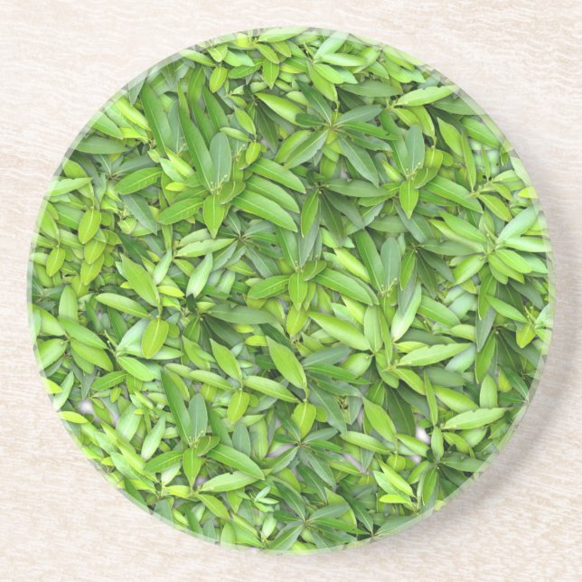 Green Leaf Pattern – Botanical Nature Art Coaster (Front)