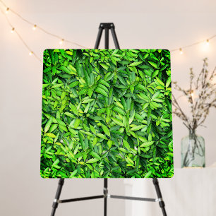Green Leaf Pattern – Botanical Nature Art Foam Board