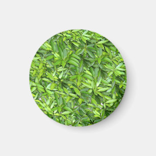 Green Leaf Pattern – Botanical Nature Art Magnet