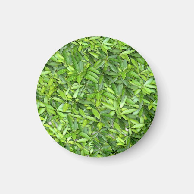 Green Leaf Pattern – Botanical Nature Art Magnet (Front)
