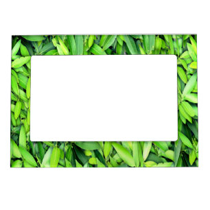 Green Leaf Pattern – Botanical Nature Art Magnetic Frame