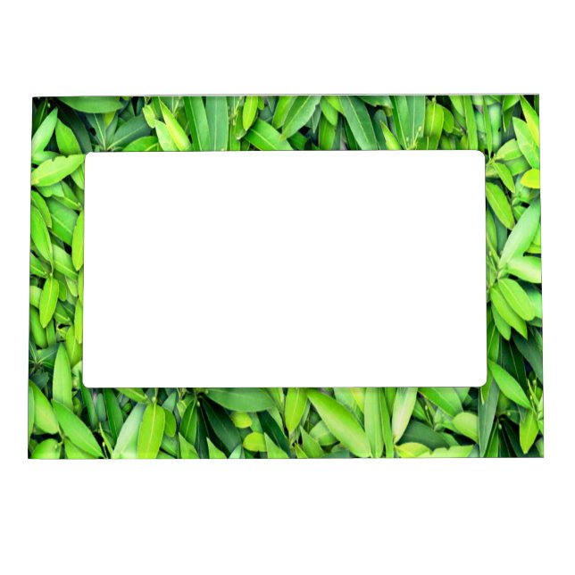 Green Leaf Pattern – Botanical Nature Art Magnetic Frame (Front)