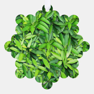 Green Leaf Pattern – Botanical Nature Art Ornament Card