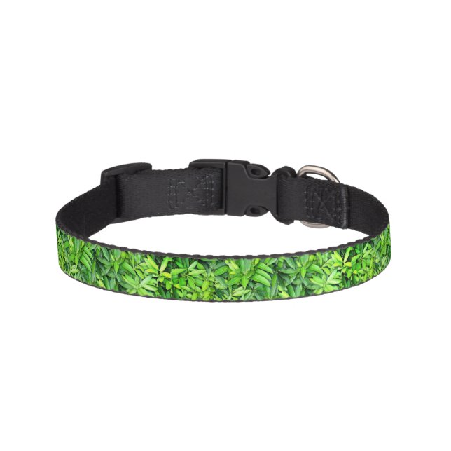 Green Leaf Pattern – Botanical Nature Art Pet Collar (Front)