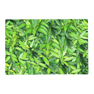 Green Leaf Pattern – Botanical Nature Art Placemat