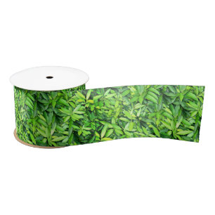 Green Leaf Pattern – Botanical Nature Art Satin Ribbon