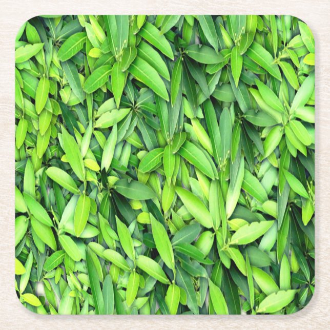 Green Leaf Pattern – Botanical Nature Art Square Paper Coaster (Front)