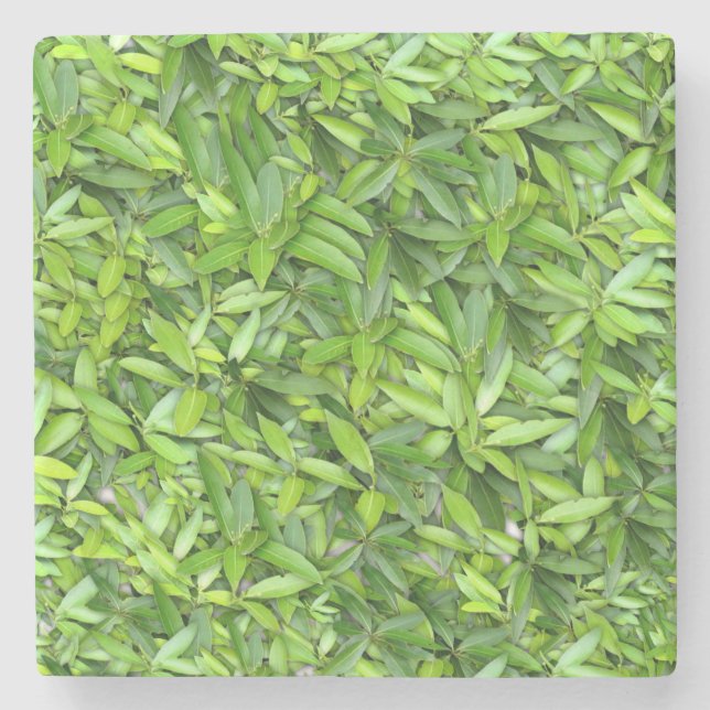 Green Leaf Pattern – Botanical Nature Art Stone Coaster (Front)