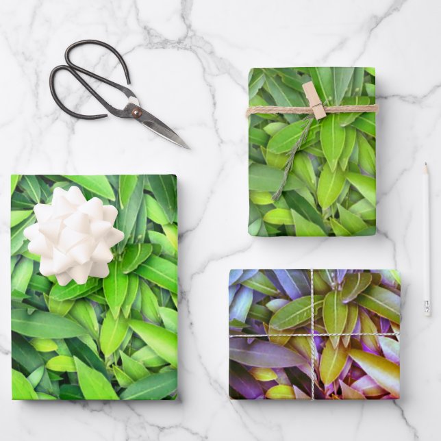 Green Leaf Pattern – Botanical Nature Art Wrapping Paper Sheets (Front)