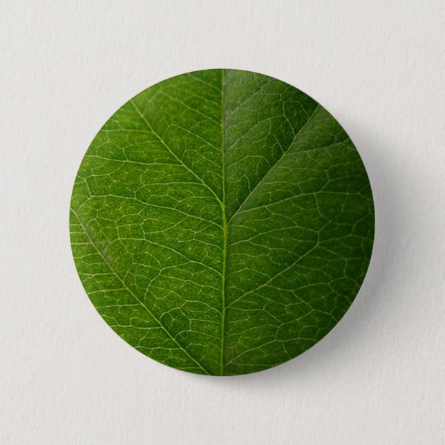 Green Leaf Pinback Button (Front)