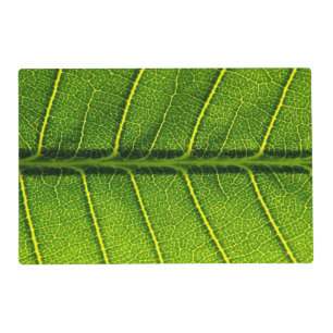 Green leaf placemat