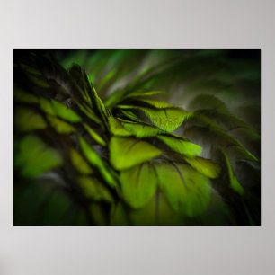 Green leaf poster