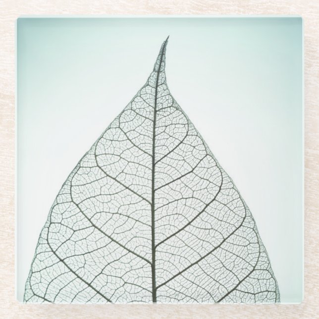 Green Leaf Skeleton Glass Coaster (Front)