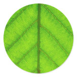 Green Leaf Stickers