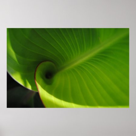 Green Leaf Swirl Poster