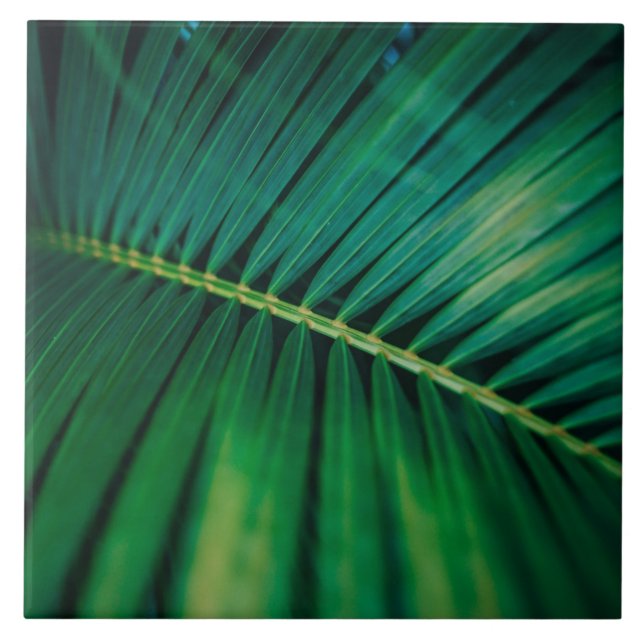 Green Leaf Tropical Forest Nature Photo Ceramic Tile (Front)