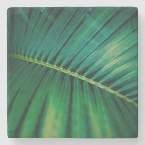 Green Leaf Tropical Forest Nature Photo Stone Coaster