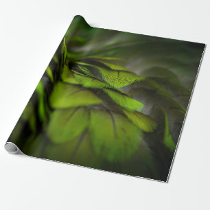 Green leaf wrapping paper