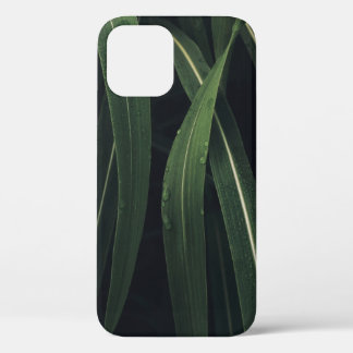 GREEN-LEAFED PLANT iPhone 12 CASE