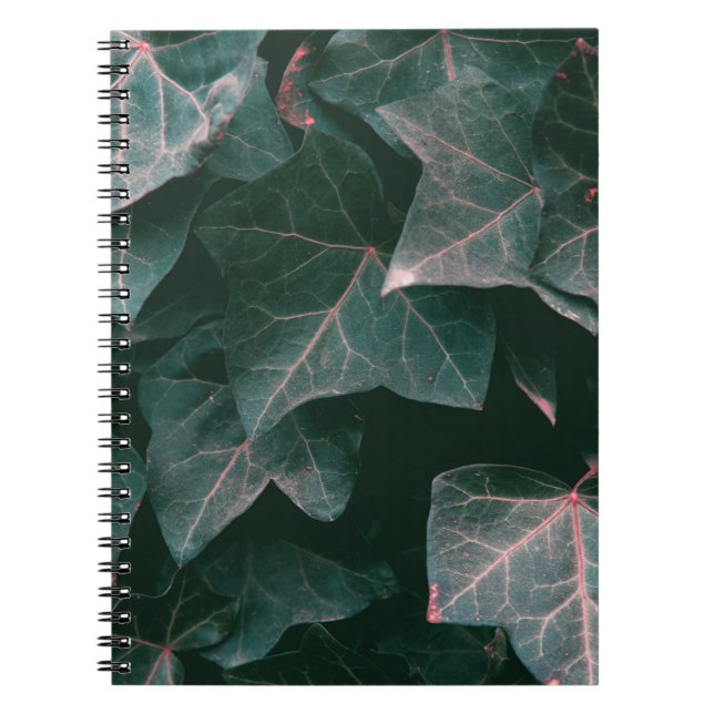GREEN-LEAFED PLANT NOTEBOOK (Front)