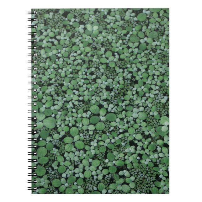 Green leafed plant notebook (Front)
