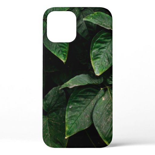 GREEN-LEAFED PLANT ON FOCUS PHOTOGRAPHY iPhone 12 CASE