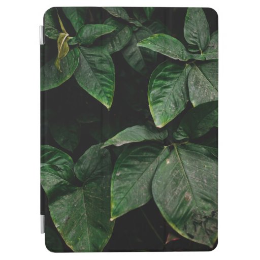 GREEN-LEAFED PLANT ON FOCUS PHOTOGRAPHY iPad AIR COVER