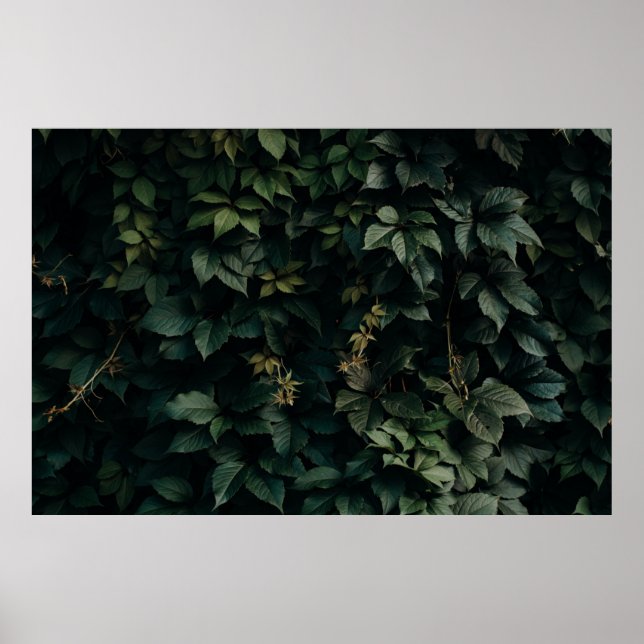 GREEN LEAFED PLANT POSTER (Front)