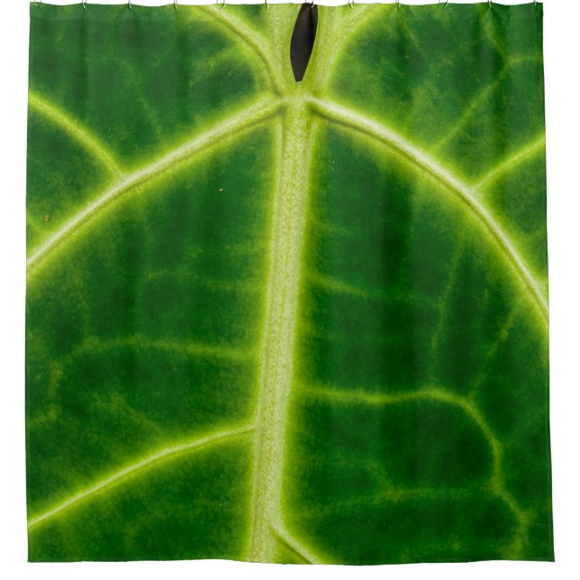 Green-leafed plant shower curtain (Front)