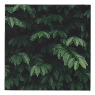 GREEN-LEAFED TREE FAUX CANVAS PRINT