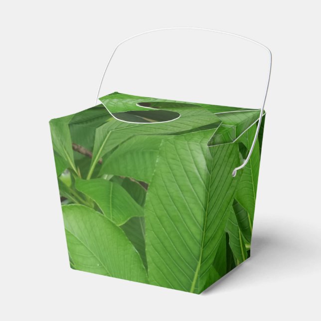 Green Leafs Take Out Favor Box (Front Side)