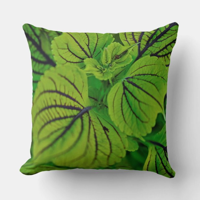 Green Leafy Coleus Pillow (Front)