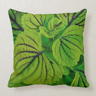 Green Leafy Coleus Pillow