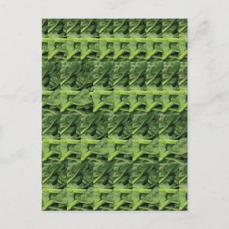 Green Leafy Vegetable Pattern