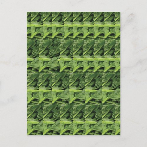 Green Leafy Vegetable Pattern Postcard