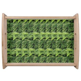 Green Leafy Vegetable Pattern