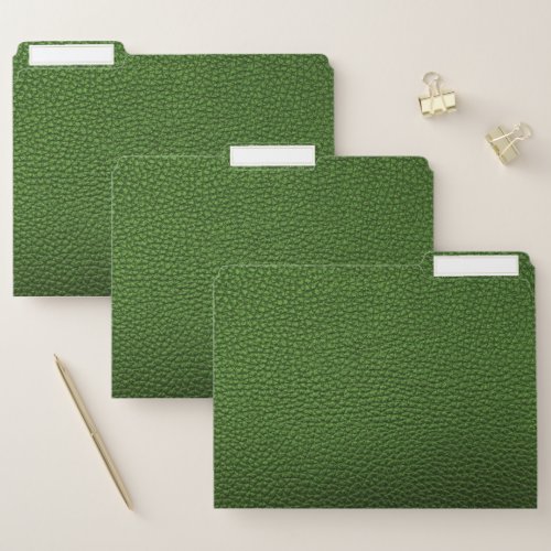 Green leather file folder