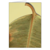 Green Leave Card (Front)