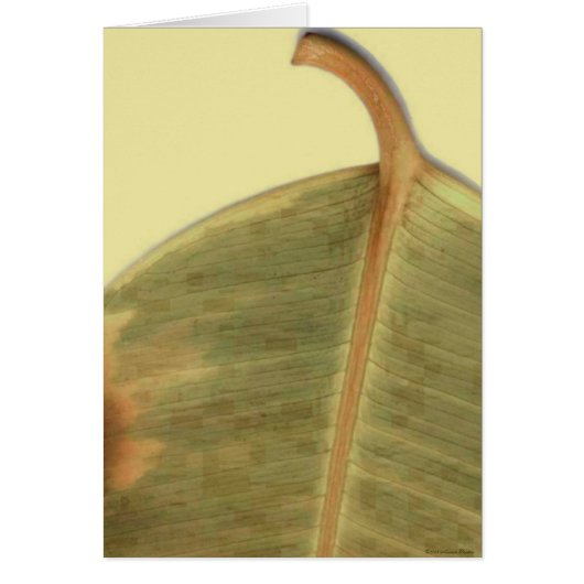 Green Leave Card (Front)