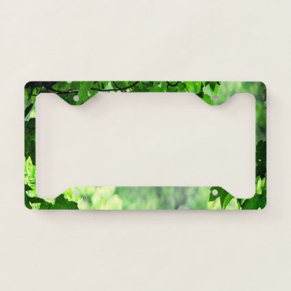 Green Leaves Abstract License Plate Frame
