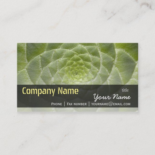 Green Leaves Aeonium Tabuliforme Business Template Business Card (Front)