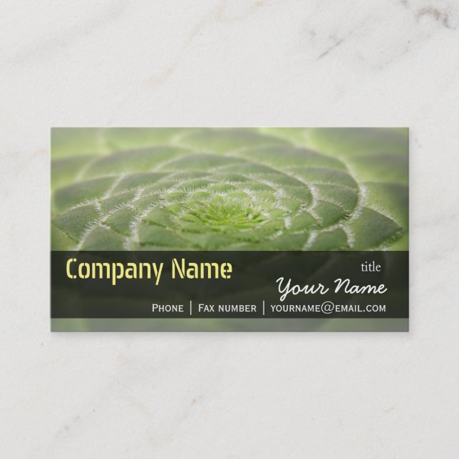 Green Leaves Aeonium Tabuliforme Business Template Business Card (Front)