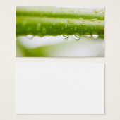 Green leaves background (Front & Back)