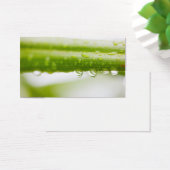 Green leaves background (Desk)