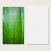 Green leaves background (Front & Back)