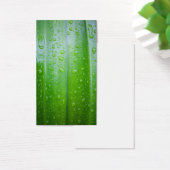 Green leaves background (Desk)