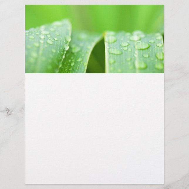 Green leaves background flyer (Front)